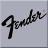 Fender Guitar Flight Cases